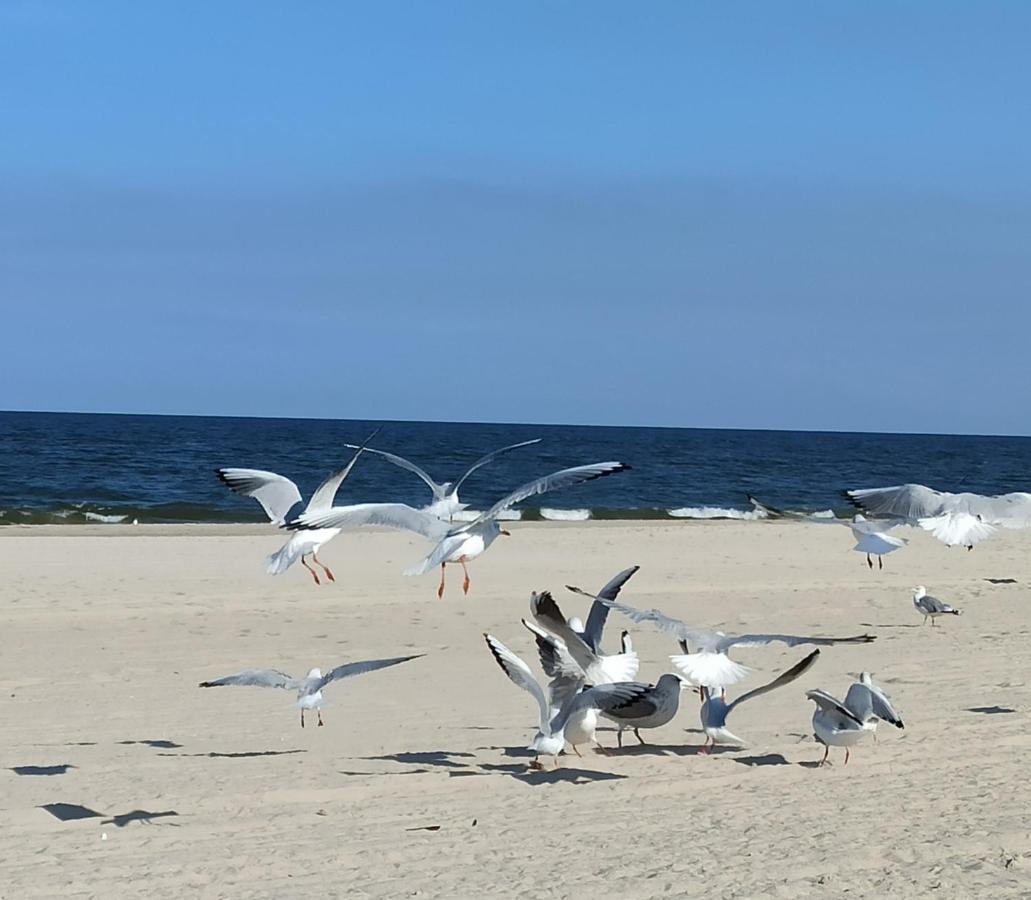 Ferienwohnung Strand25 Trassenheide Dış mekan fotoğraf
