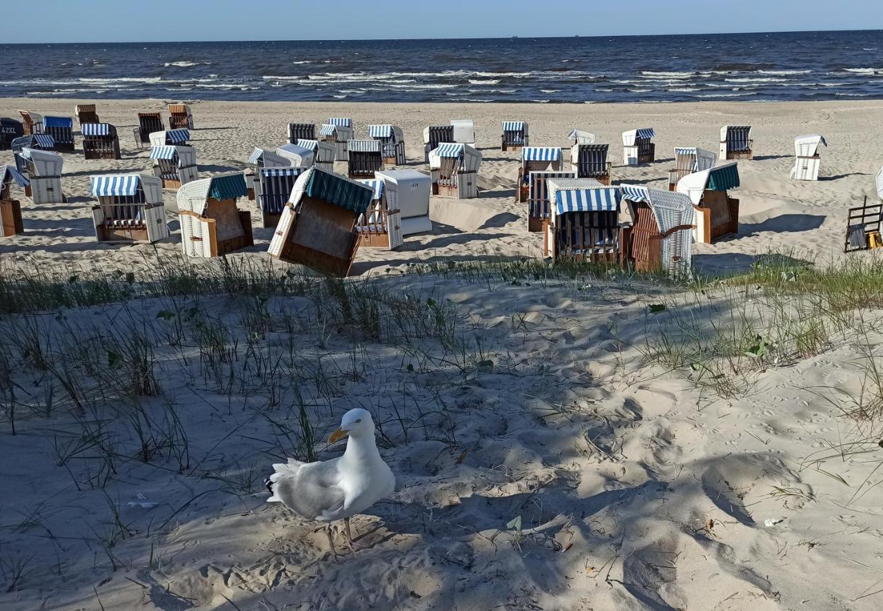 Ferienwohnung Strand25 Trassenheide Dış mekan fotoğraf